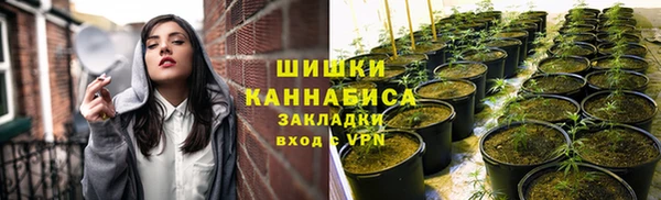 ПСИЛОЦИБИНОВЫЕ ГРИБЫ Бронницы